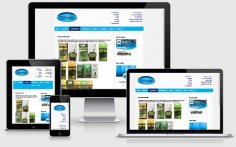criação de sites em cachoeirinha criação de sites de distribuidoras em cachoeirinha e porto alegre