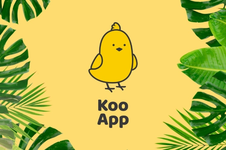 o que é koo app rede social índia virou febre no brasil memes trocadilhos como baixar